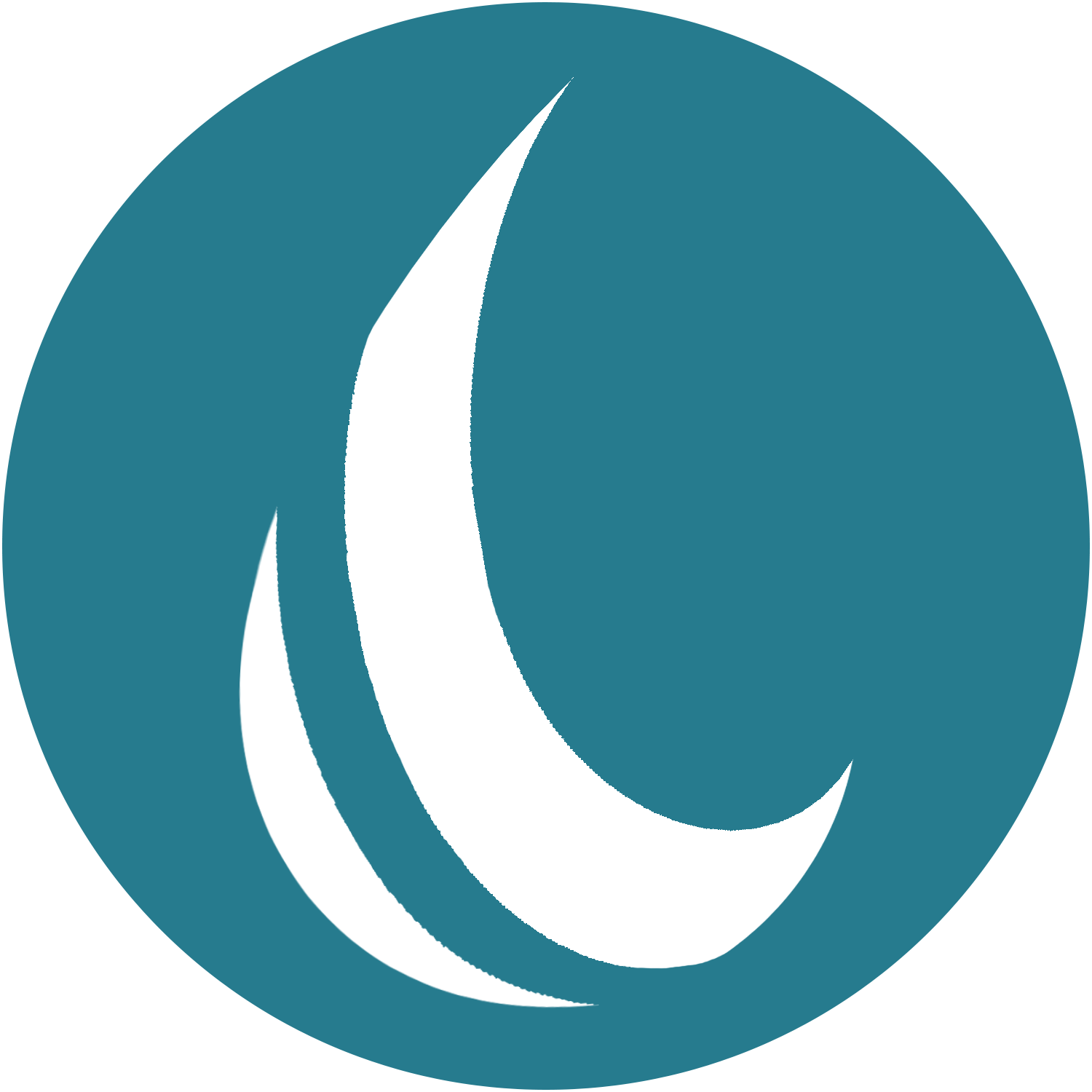 Water Icon